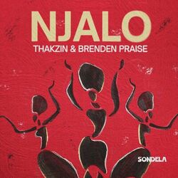 Cover of Njalo