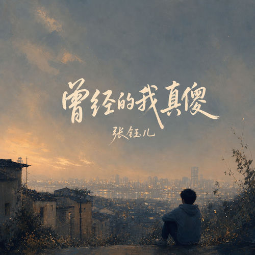 曾经的我真傻