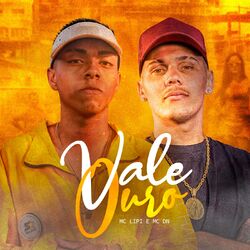 Cover of Vale Ouro