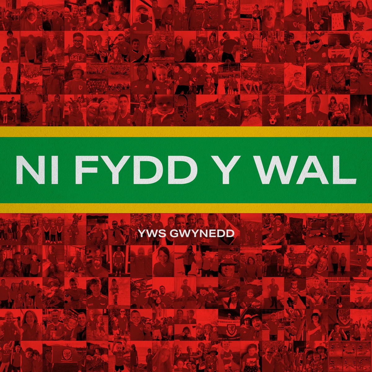 Album cover of Ni Fydd y Wal