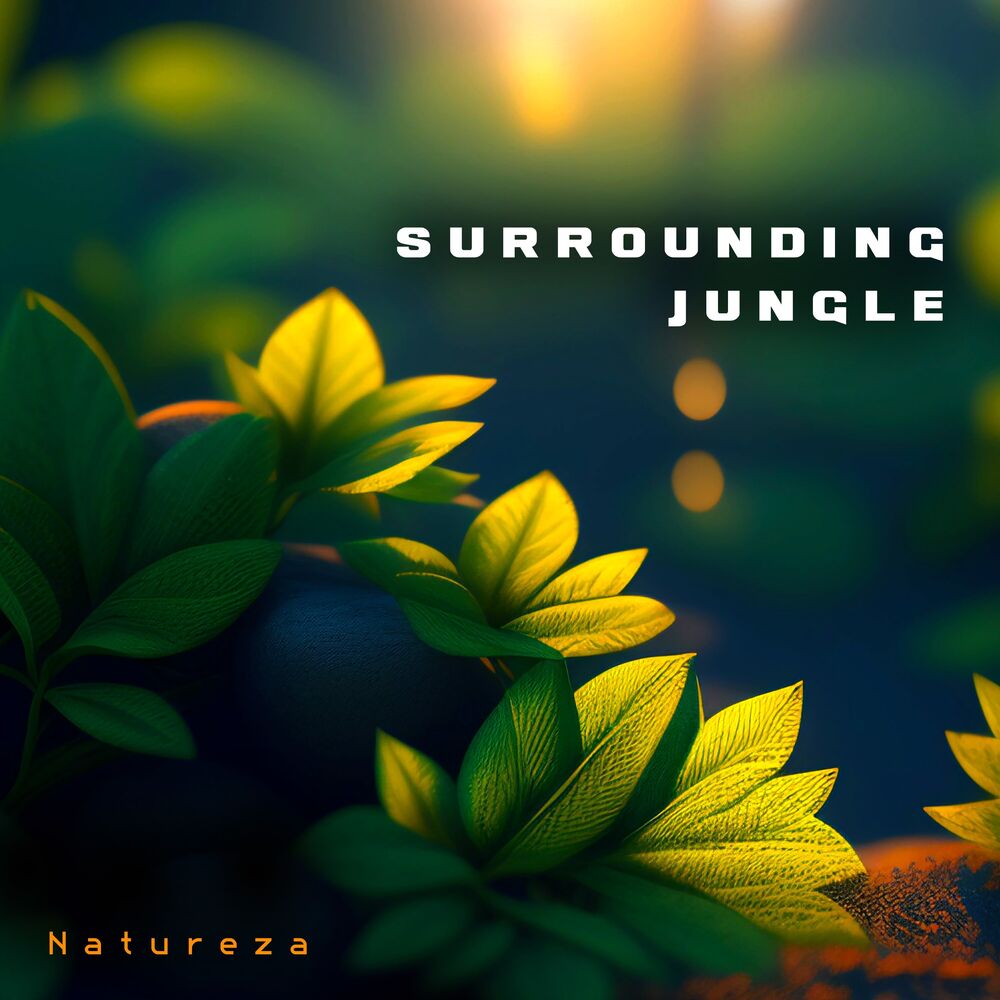 Picture of Surrounding Jungle