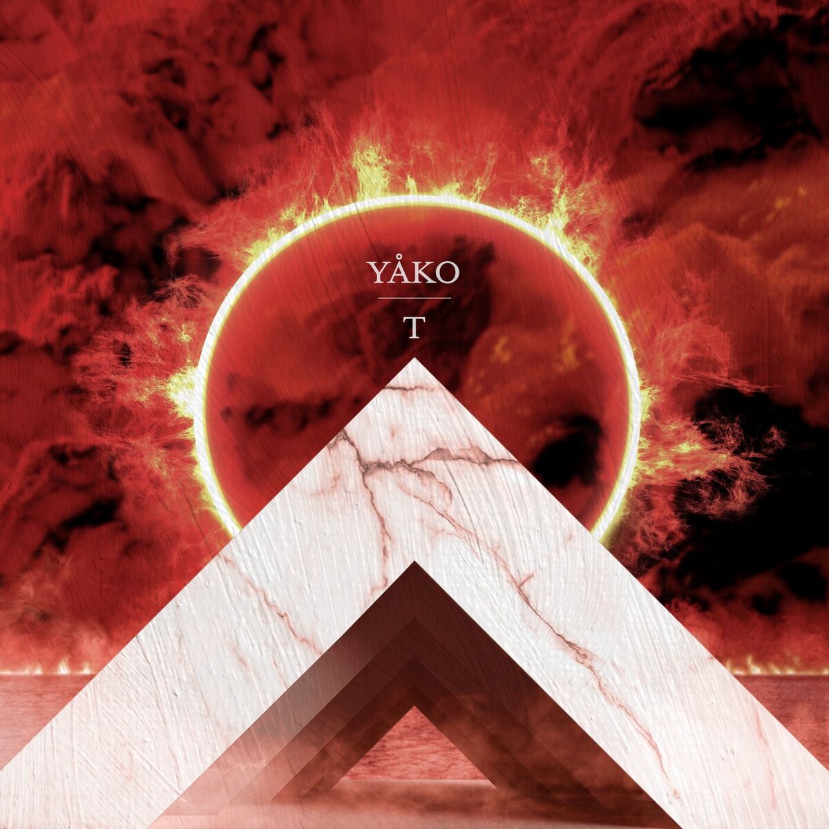 Album cover of T