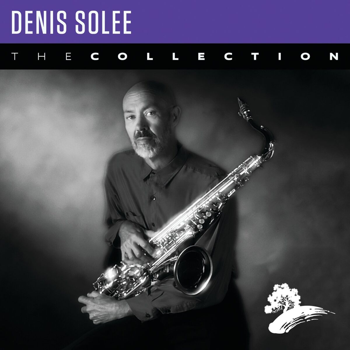Album cover of Denis Solee: The Collection