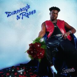 Cover of Diamond & Roses