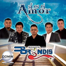 Cover of Asi Es el Amor