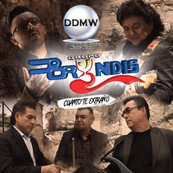 Cover of Cuanto Te Extraño