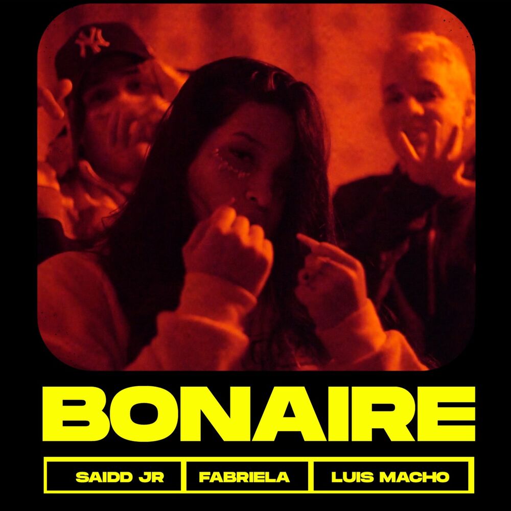 Picture of Bonaire