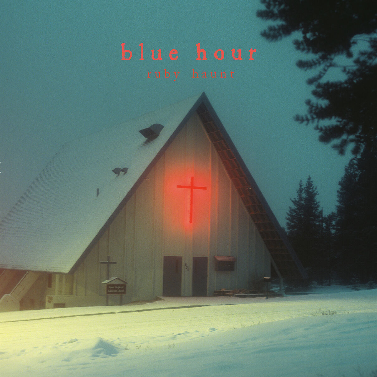 Album cover of Sanctuary