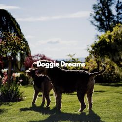 Cover of Doggie Dreams