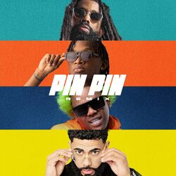 Cover of Pin Pin (Remix)