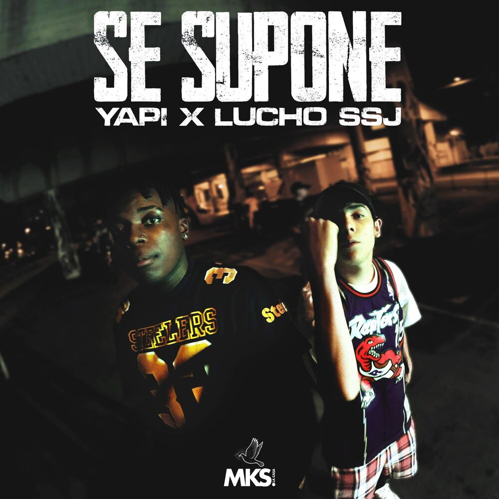 Picture of Se Supone