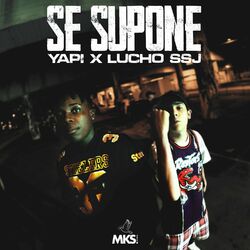 Cover of Se Supone