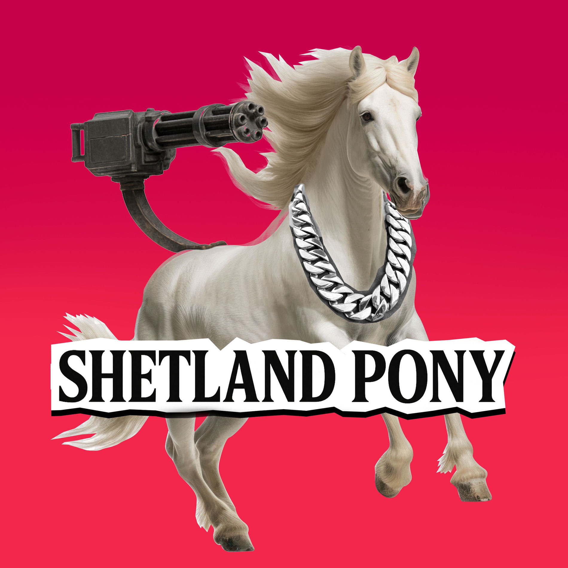 Album cover of Shetland Pony