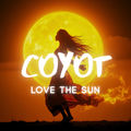 Love The Sun