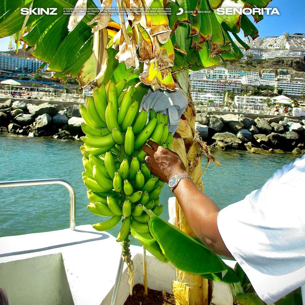 Picture of Senorita