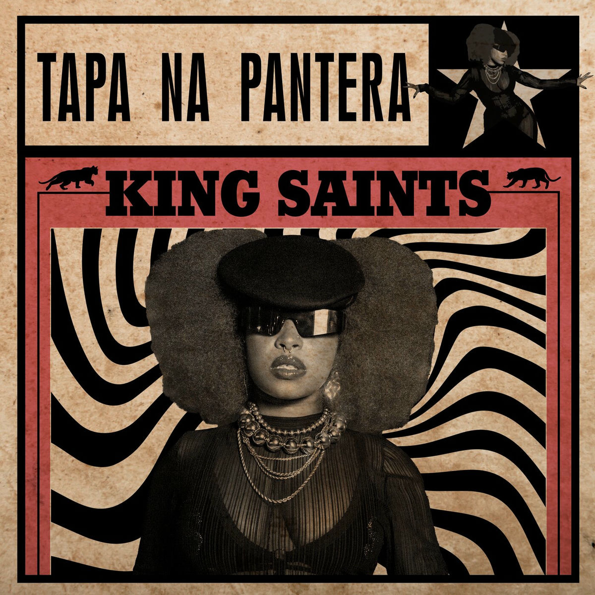 Album cover of TAPA NA PANTERA