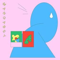 Cover of Illusion