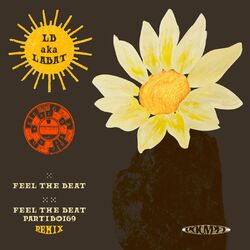 Cover of Feel the Beat