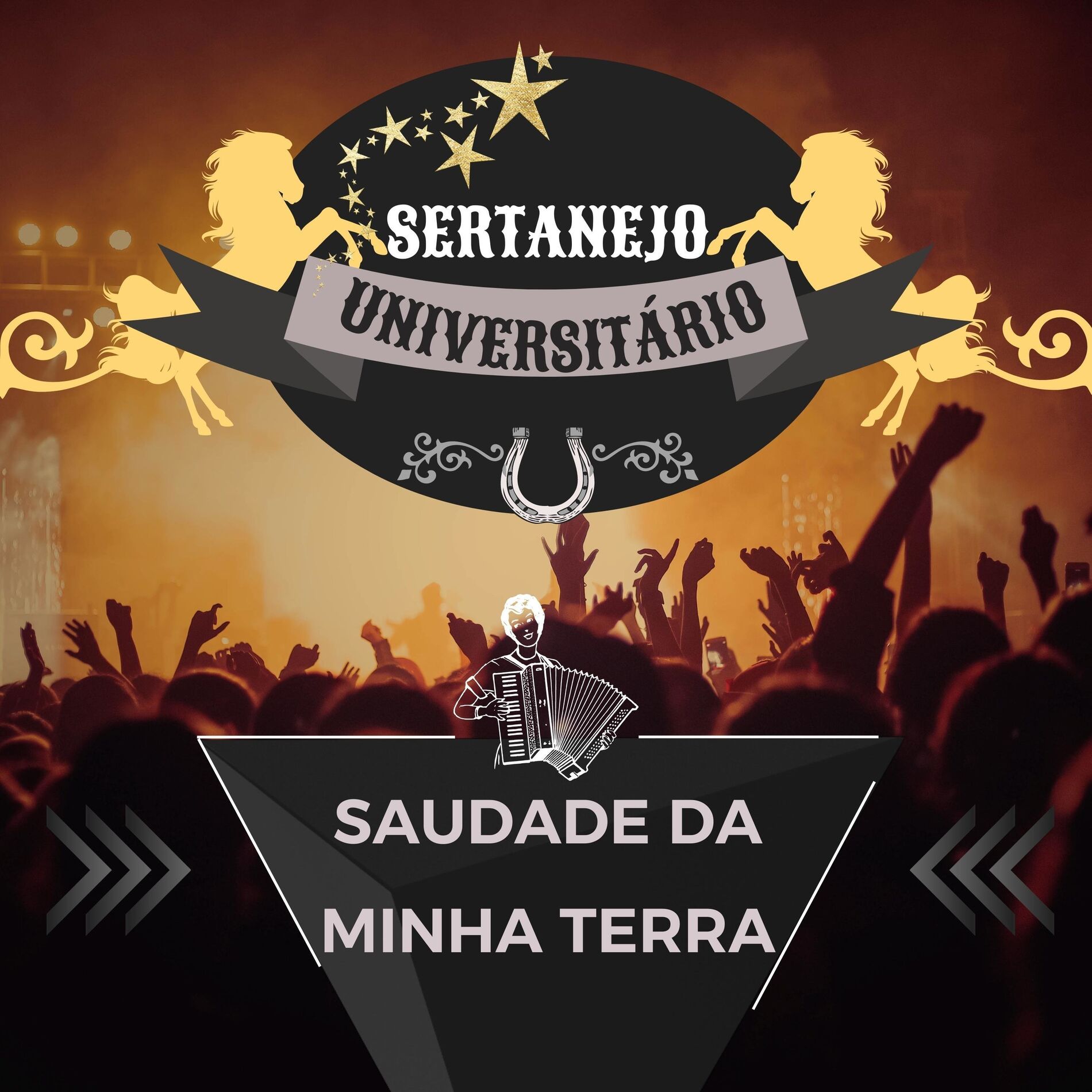 Album cover of Saudade da Minha Terra