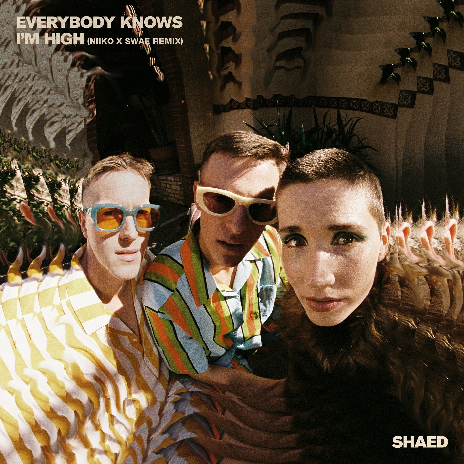 Album cover of Everybody Knows I'm High (NIIKO X SWAE Remix)