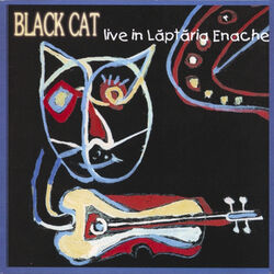 Cover of Live in Laptaria Enache