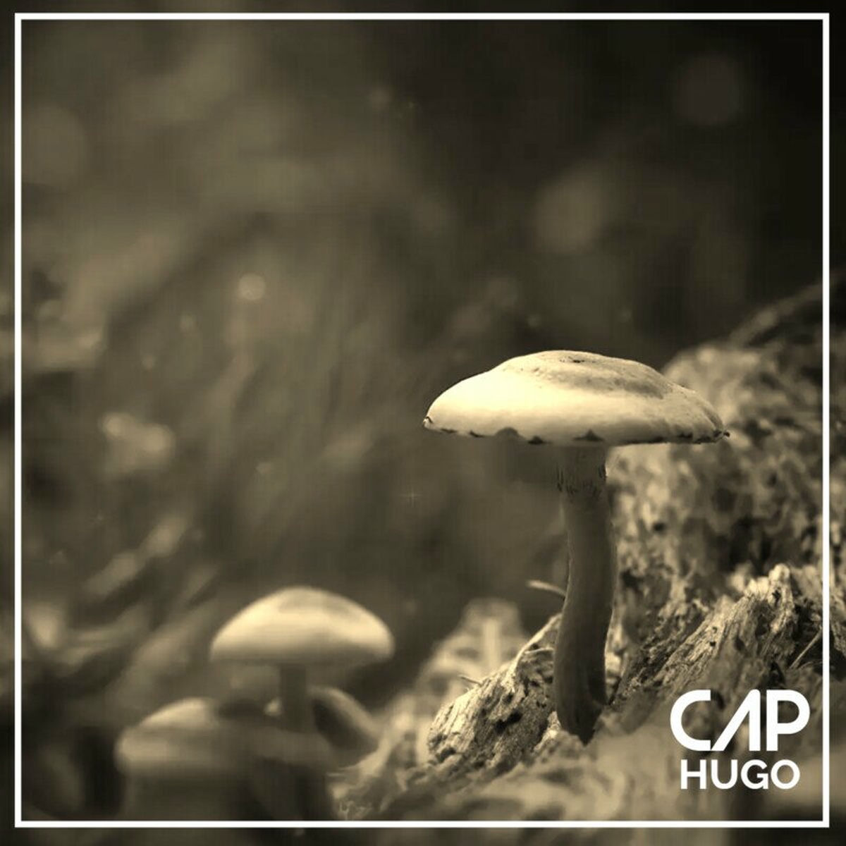 Album cover of Cap