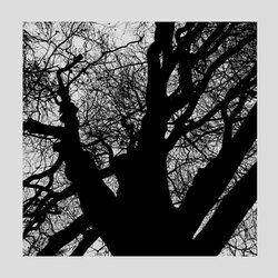 Cover of All This Time