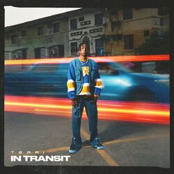 Cover of In Transit