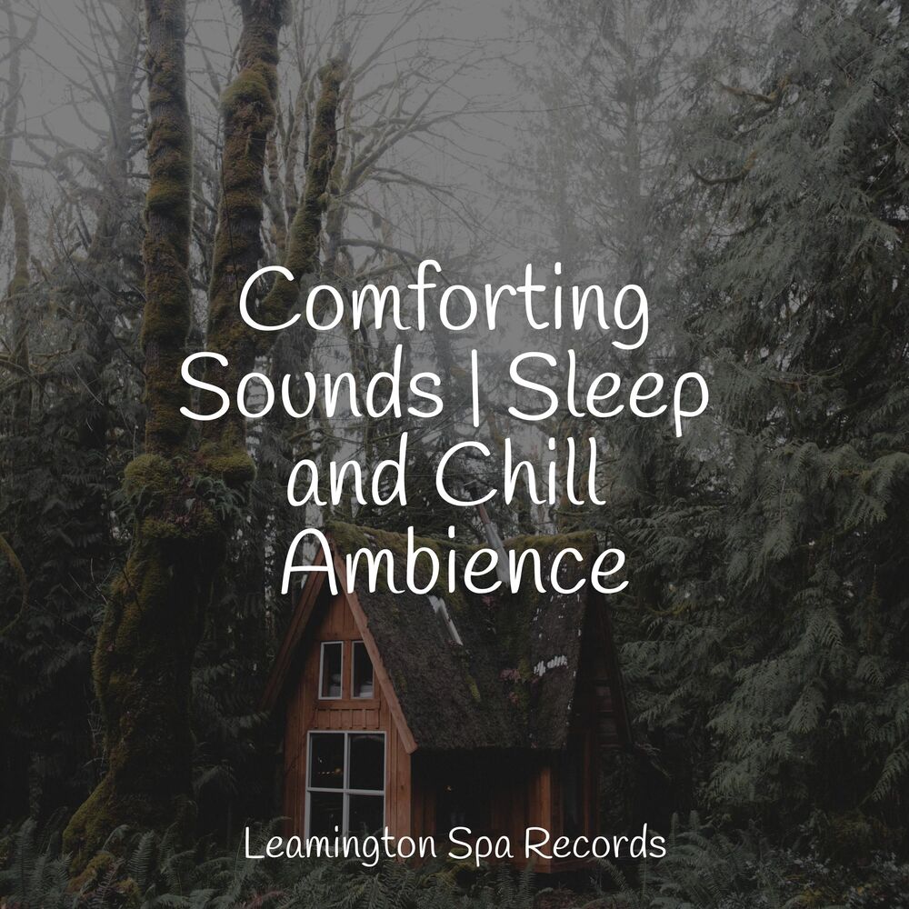 Picture of Comforting Sounds | Sleep and Chill Ambience
