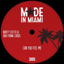 Cover of Can You Feel Me
