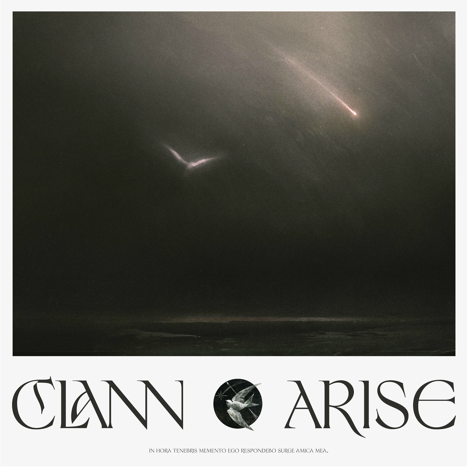 Album cover of Arise