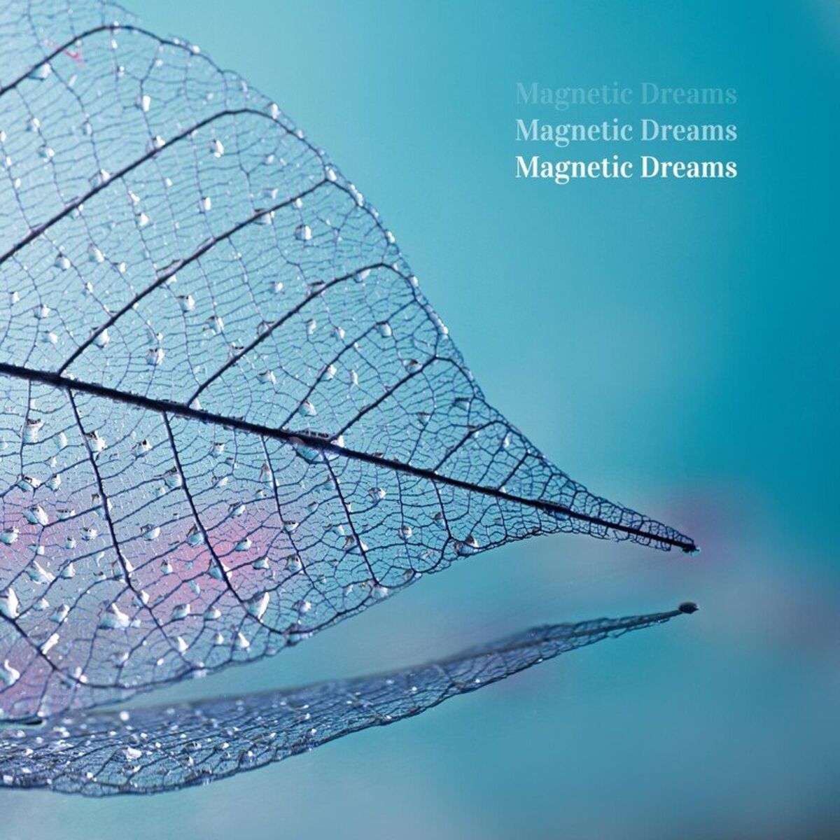Album cover of Archipelago