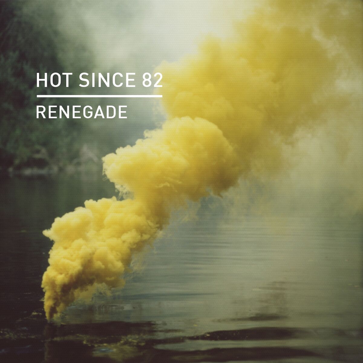 Album cover of Renegade