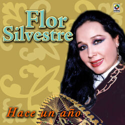 Cover of Hace Un Año