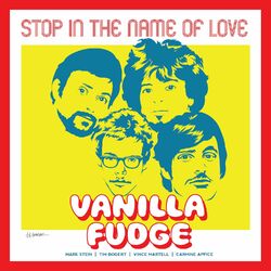 Cover of Stop in the Name of Love