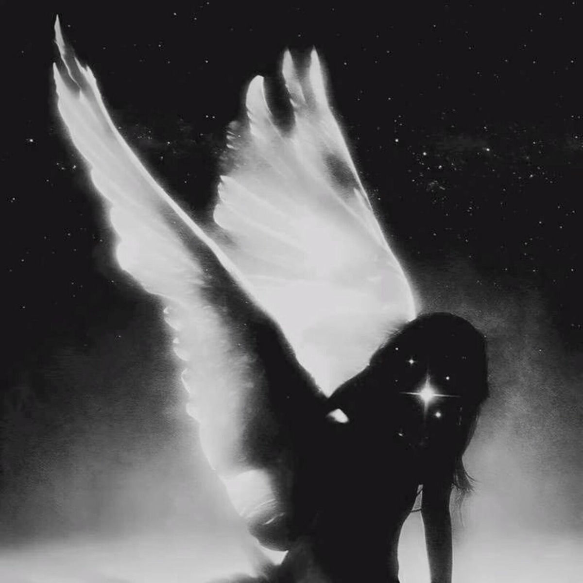 Album cover of Montagem Frenética