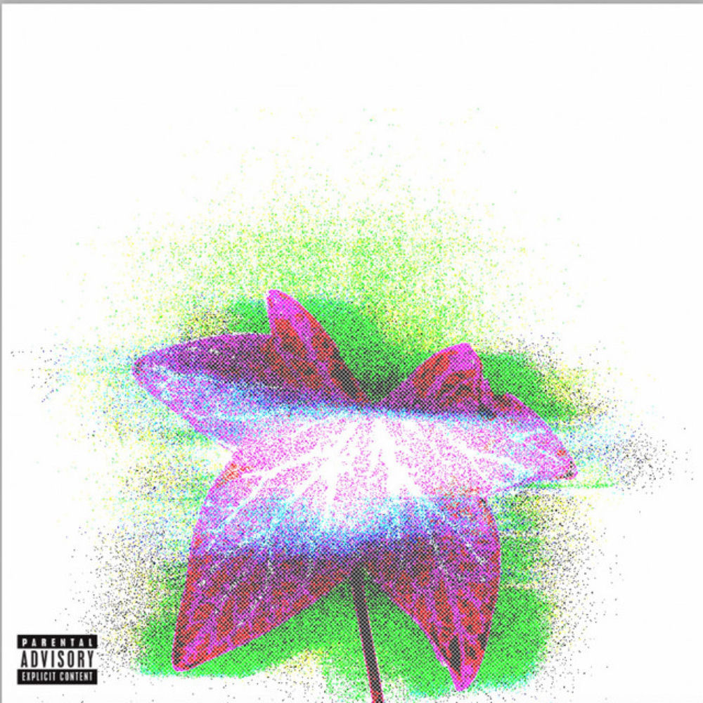 Ivy album cover