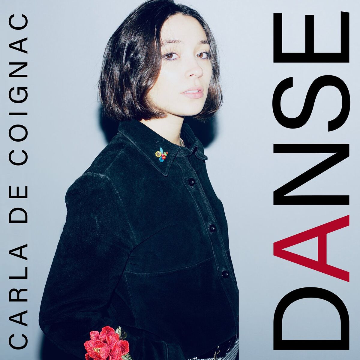 Album cover of Danse