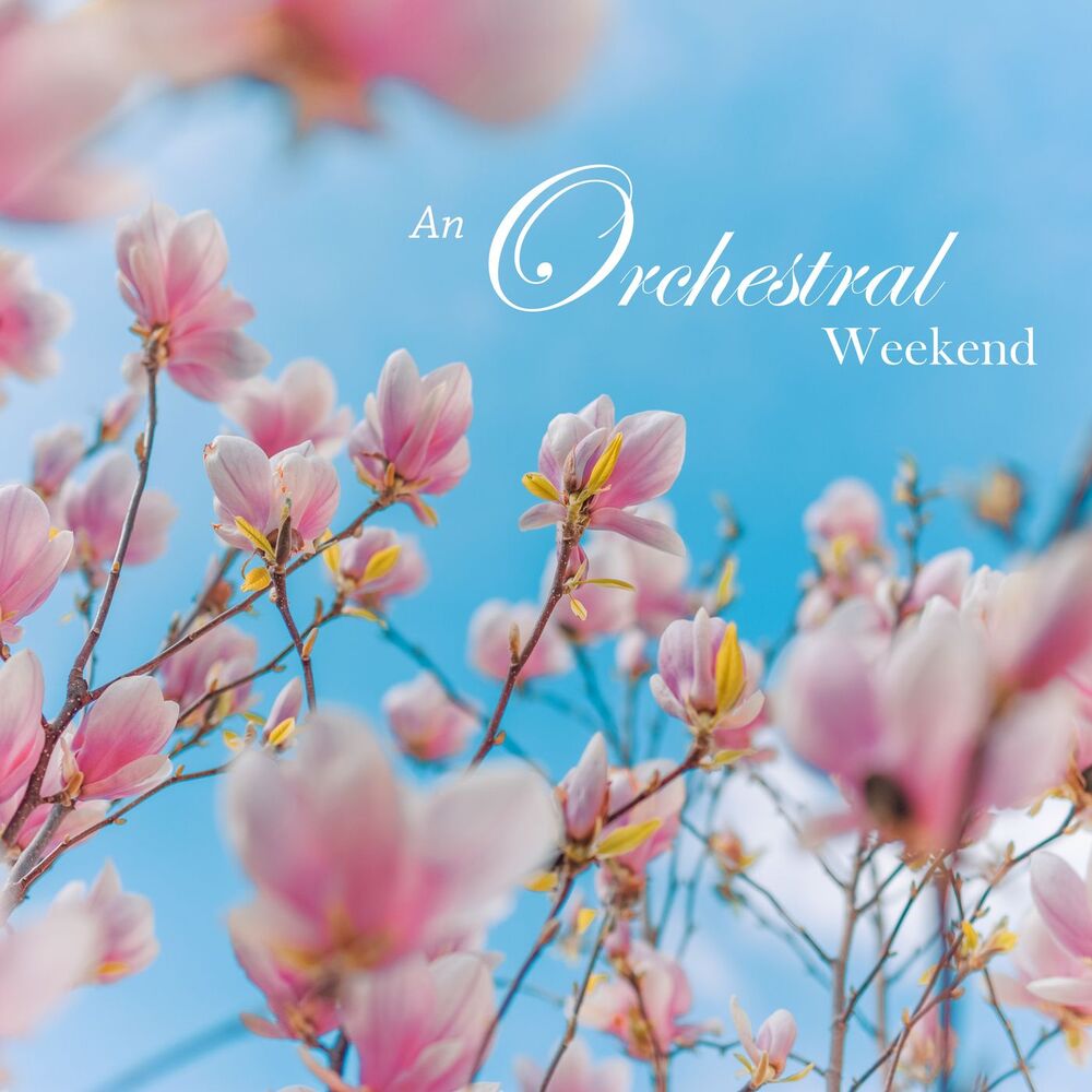 Picture of An Orchestral Weekend