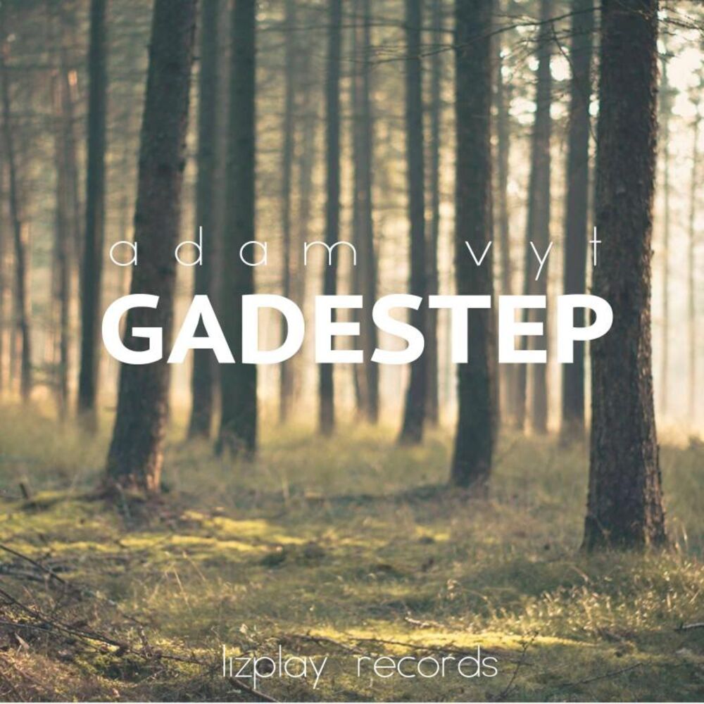 Picture of Gadestep EP