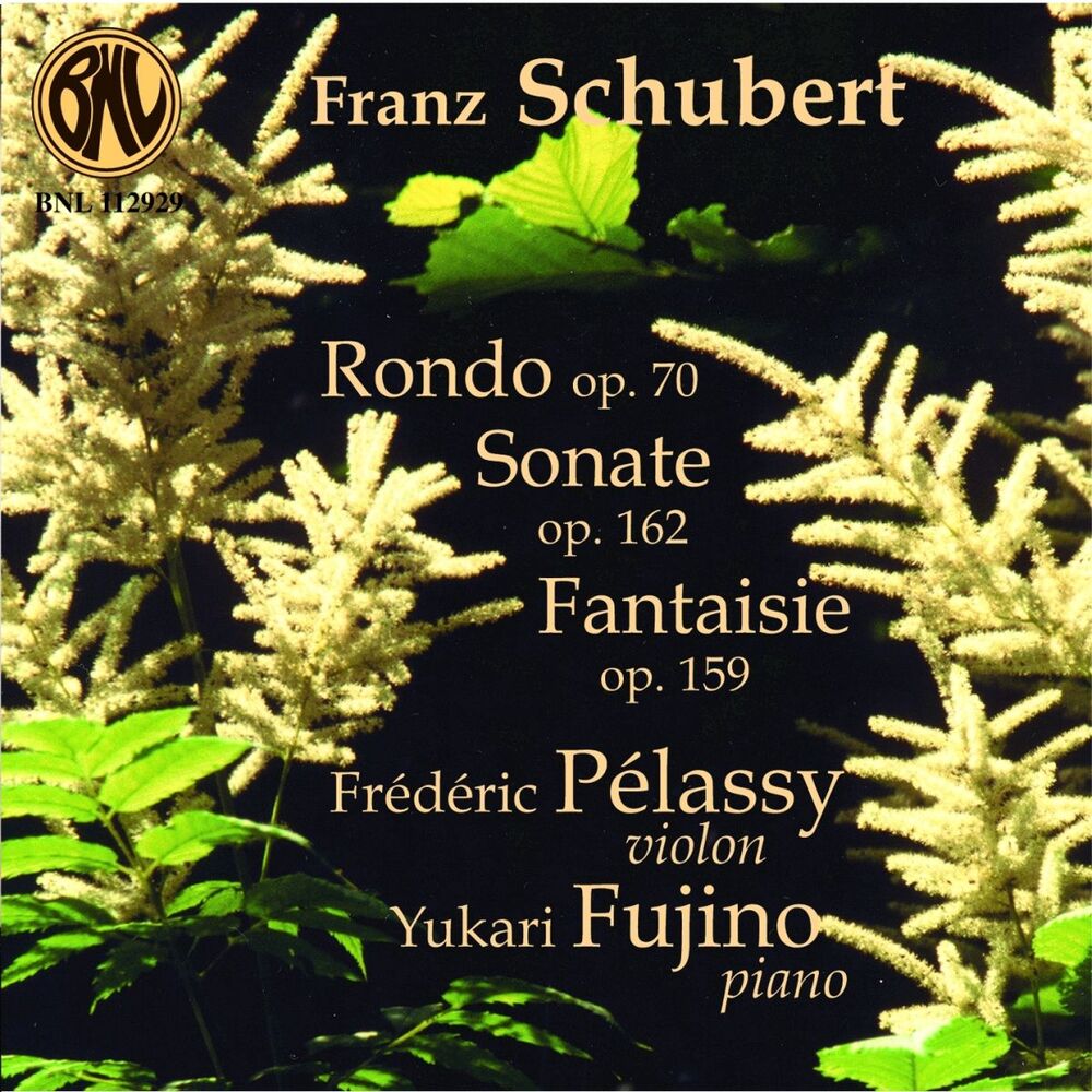 Picture of Schubert: Pièces pour violon et piano