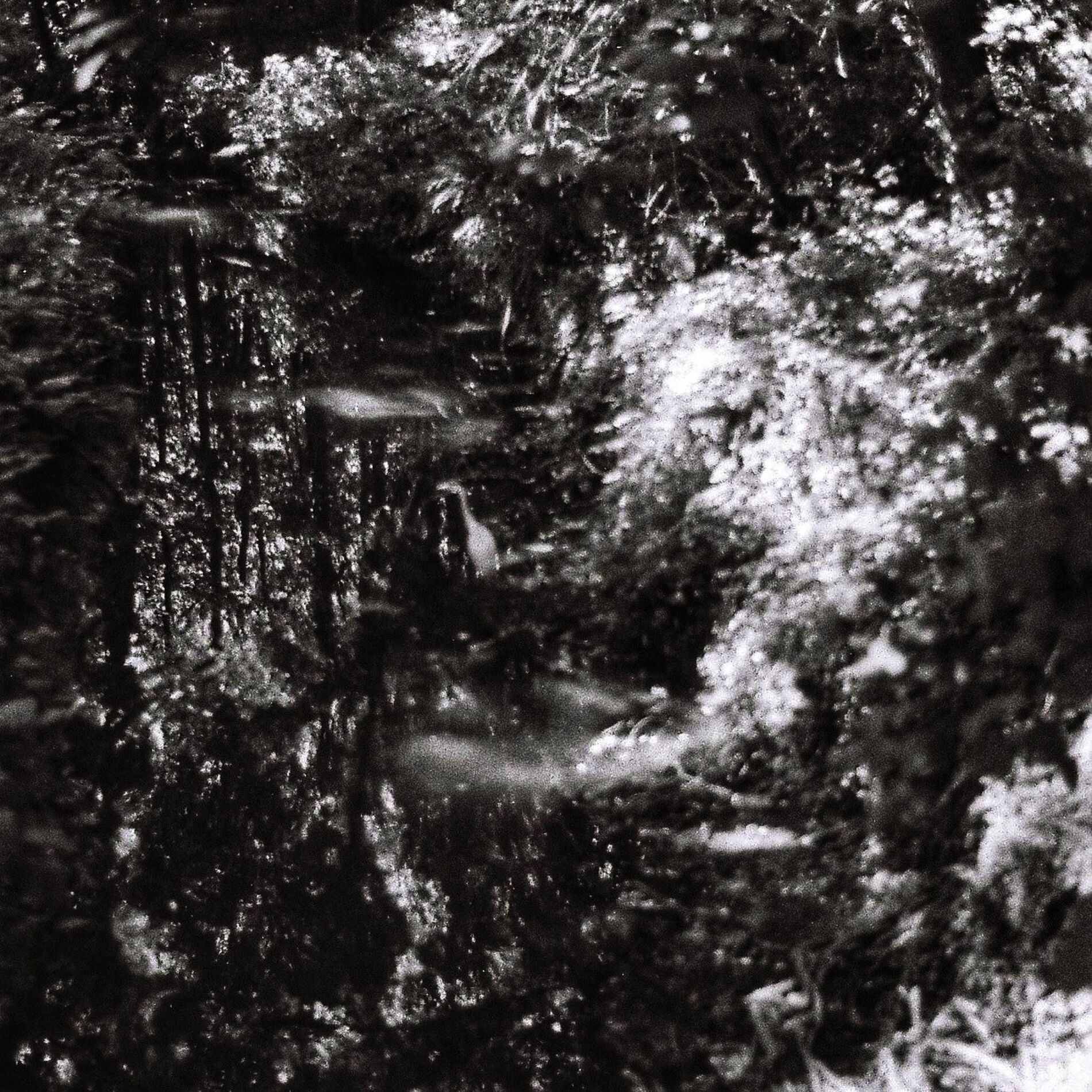 Album cover of POLTERVISION