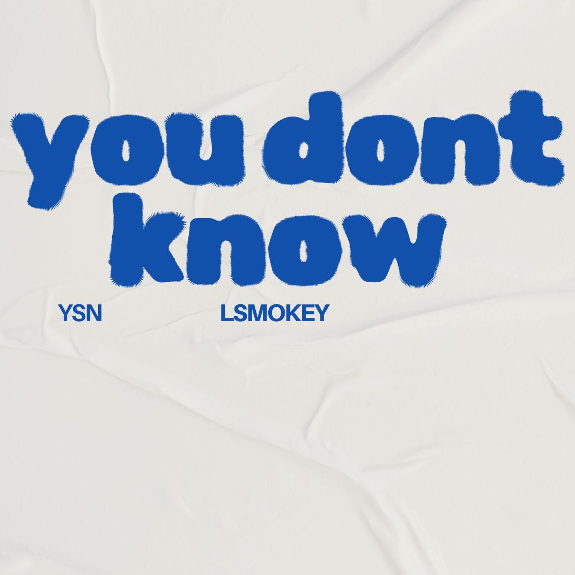 Album cover of You Dont Know (feat. Ysn)
