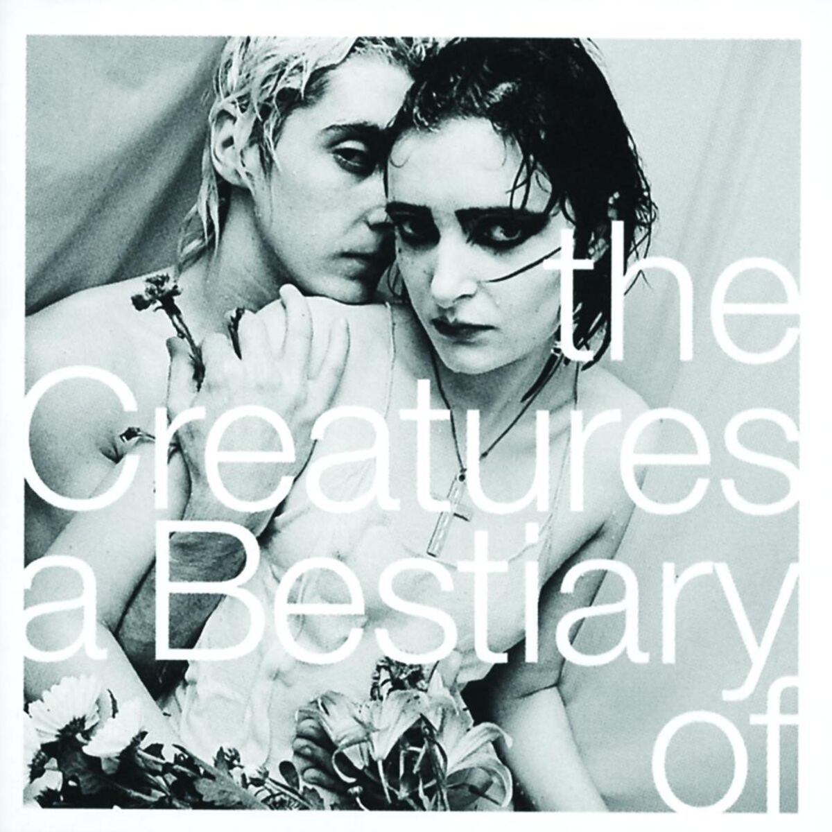 Album cover of A Bestiary Of