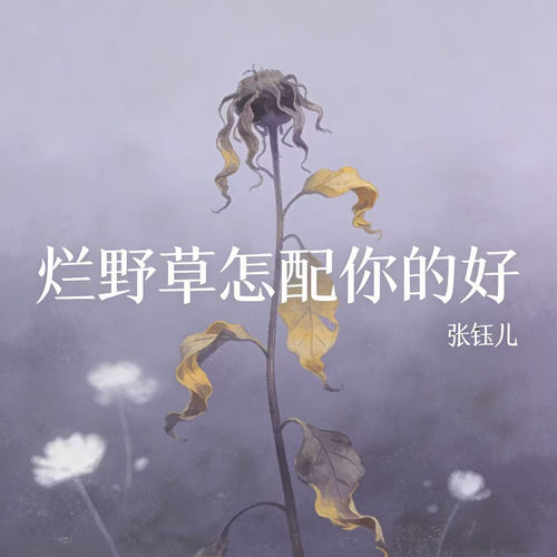 烂野草怎配你的好
