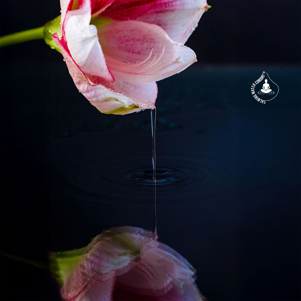 Picture of Zen Flow of Koto and Rippling Water