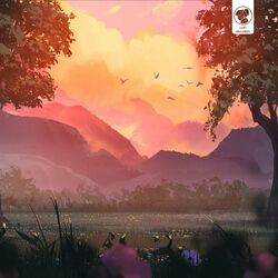 music cover