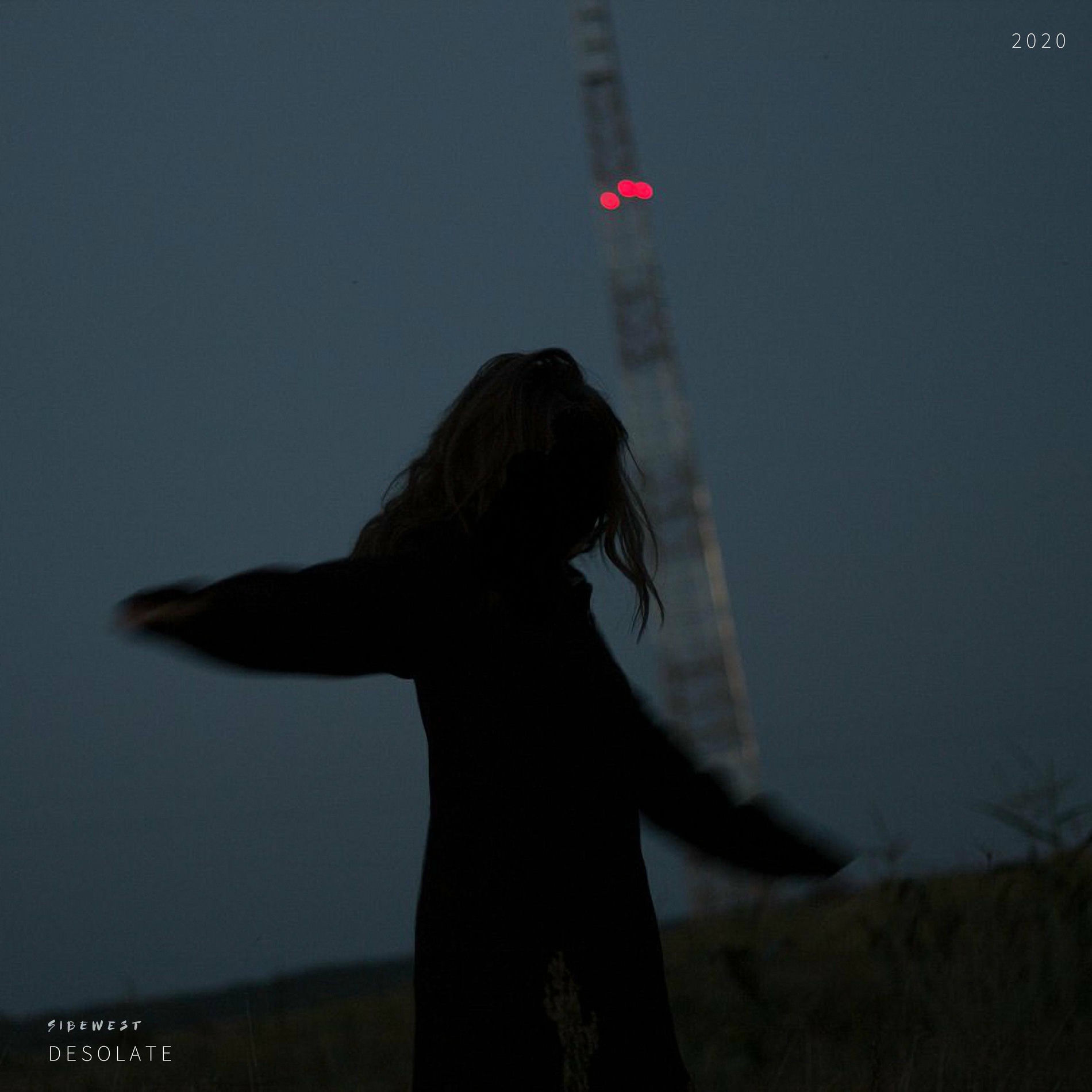 Album cover of Desolate
