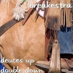 Cover of Deuces up Double Down