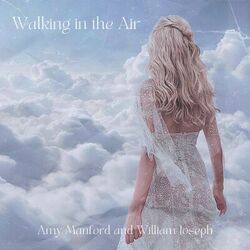 Cover of Walking in the Air